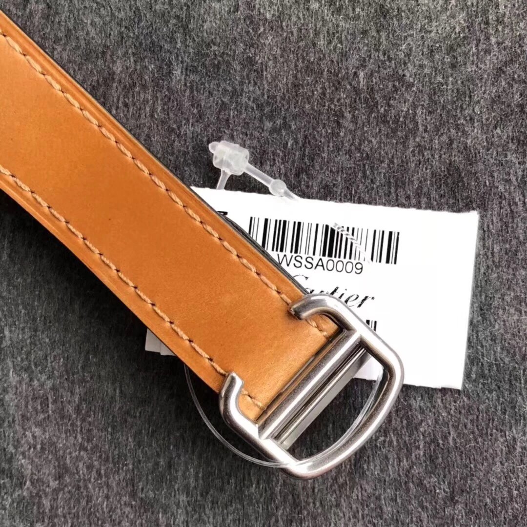 V6 Cartier Santos Santos series WSSA0009 couple mechanical watch